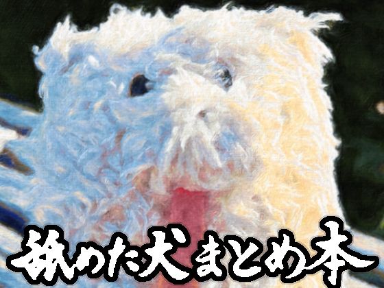 【舐めた犬】舐めた犬まとめ本｜ギャグ・コメディ 評価4.85