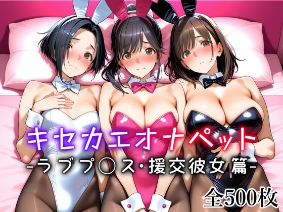 【愛玩ファクトリー】キセカエオナペット -ラブプ◯ス・援交彼女篇-｜体操着・ブルマ 評価4.73