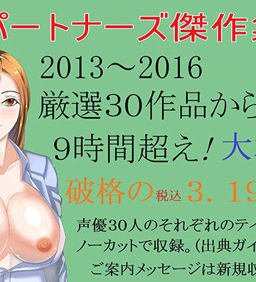 【Sパートナーズ】Sパートナーズ傑作集 9時間超・ 税込3，190円｜ベスト・総集編 評価