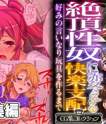 【どろっぷす！】絶頂性奴に変える快楽支配 〜好みの言いなり玩具を作るまで〜【CG集コレクション】｜辱め 評価