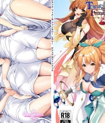 【6colors】トランス・フィメール・ファンタジー レガシー ビジュアルファンブック｜ファンタジー 評価