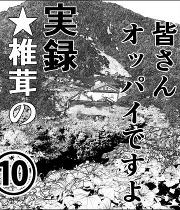 【干し椎茸】実録 ★椎茸のえろ旅 10 （後編）｜熟女 評価
